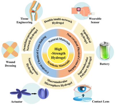西工大黃河源、王文智/西安交大趙鑫 Nano Res.:高強(qiáng)度水凝膠的制備策略、增強(qiáng)機(jī)制與未來(lái)挑戰(zhàn)
