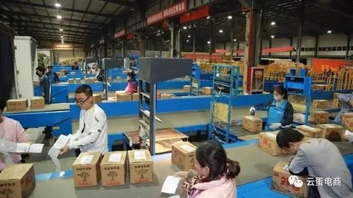 陜西電商迎來井噴式增長 2017雙11西安領(lǐng)跑西北電商扶貧